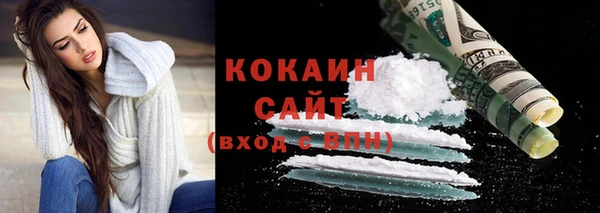 ешки Дмитриев