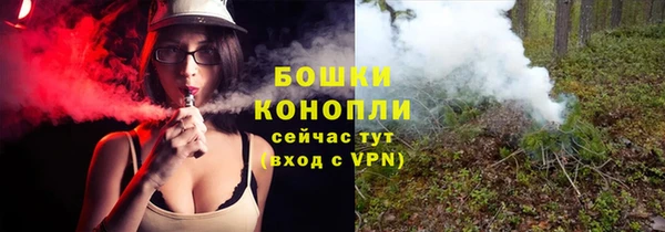 ешки Дмитриев