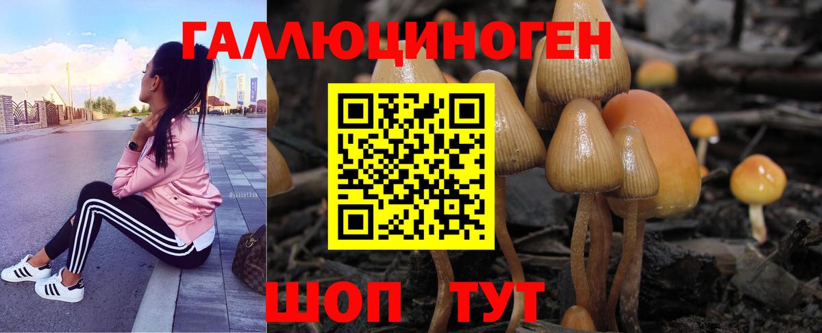 Галлюциногенные грибы Cubensis  Вход с VPN  Псилоцибиновые грибы мухоморы  Химки 