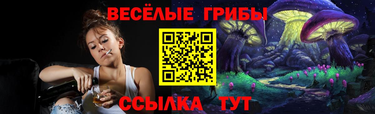 Псилоцибиновые грибы мухоморы Химки